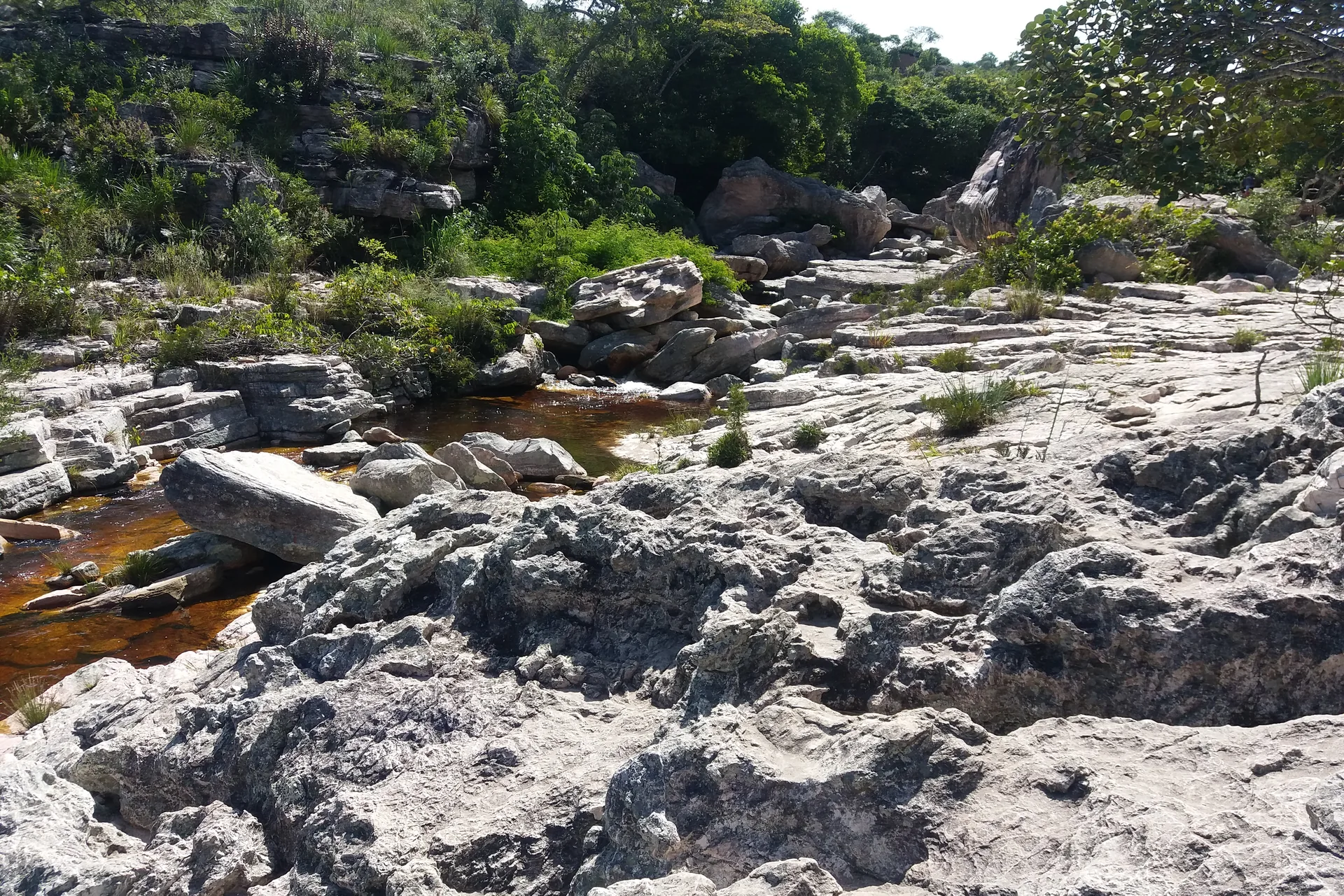 Rio São José na Chapada Diamantina, na Bahia, cercado de vegetação