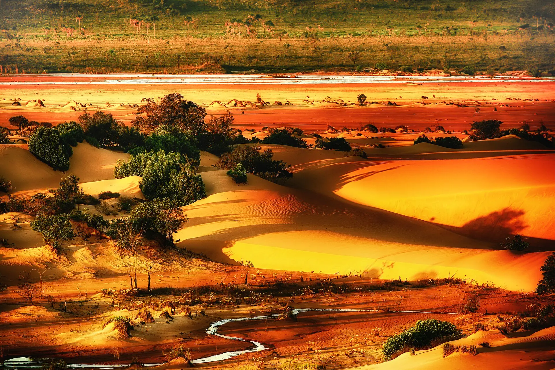 Dunas alaranjadas do Jalapão ao entardecer, com vegetação de cerrado entre elas e um córrego cortando a areia
