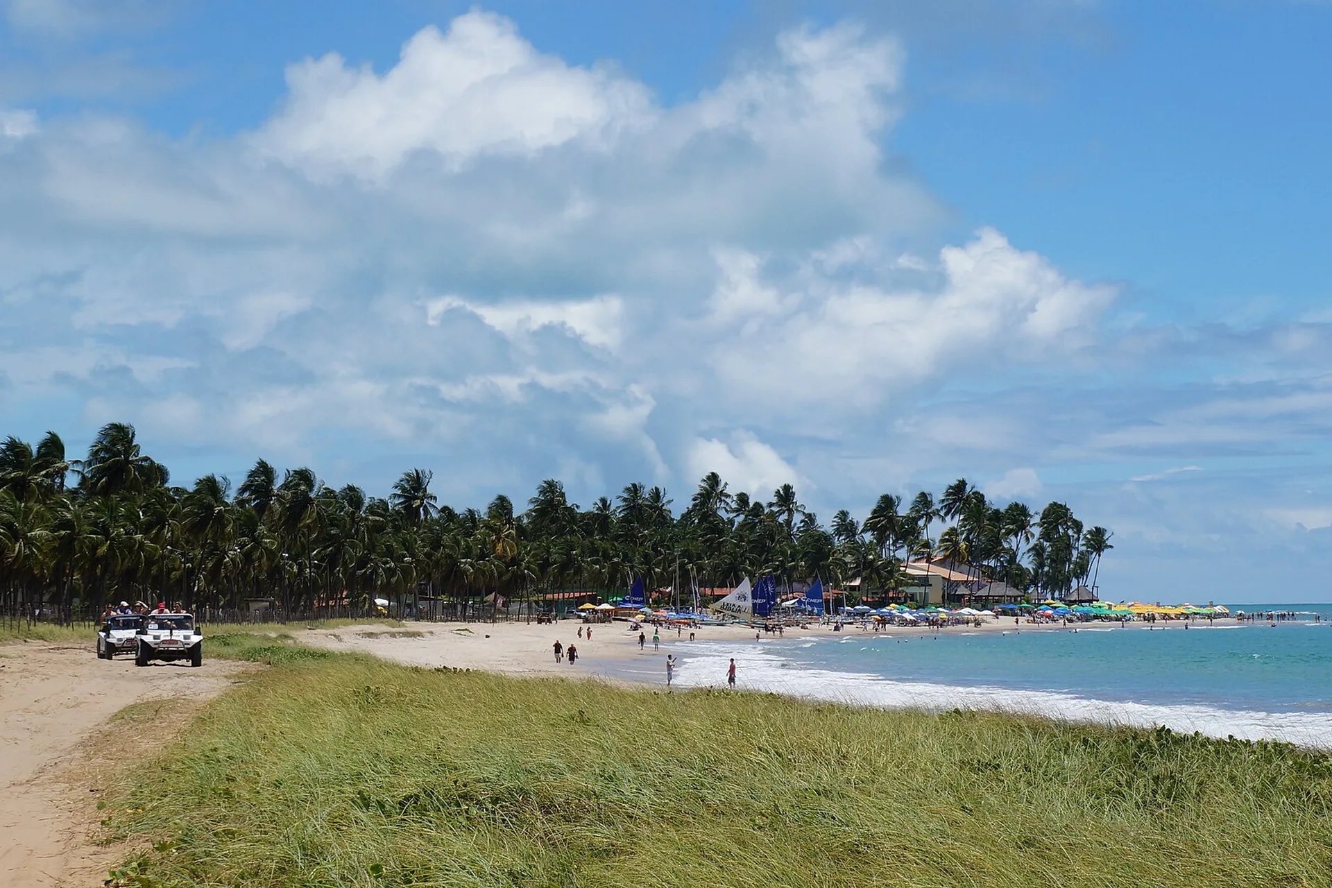 Praia do litoral pernambucano com fileira de coqueiros, bugues na areia e guarda-sóis ao fundo
