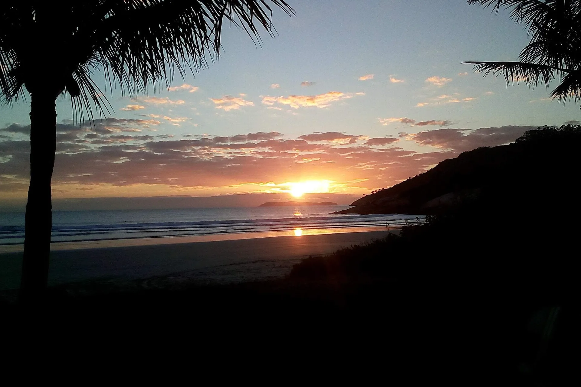 Nascer do sol sobre a praia em Bombinhas, com silhuetas de coqueiros em primeiro plano