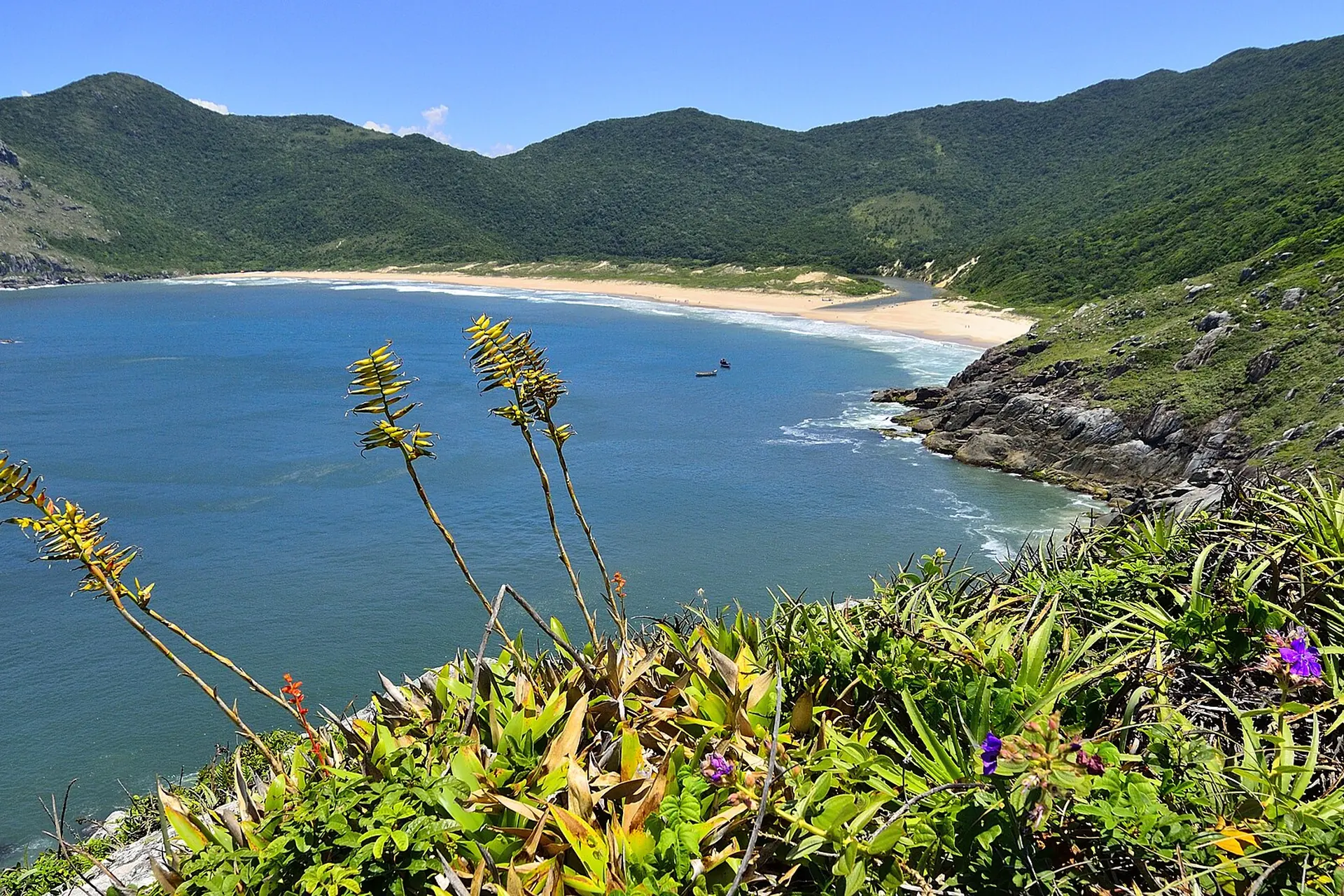 Enseada da Lagoinha do Leste vista do alto, com faixa de areia clara e morros cobertos de mata