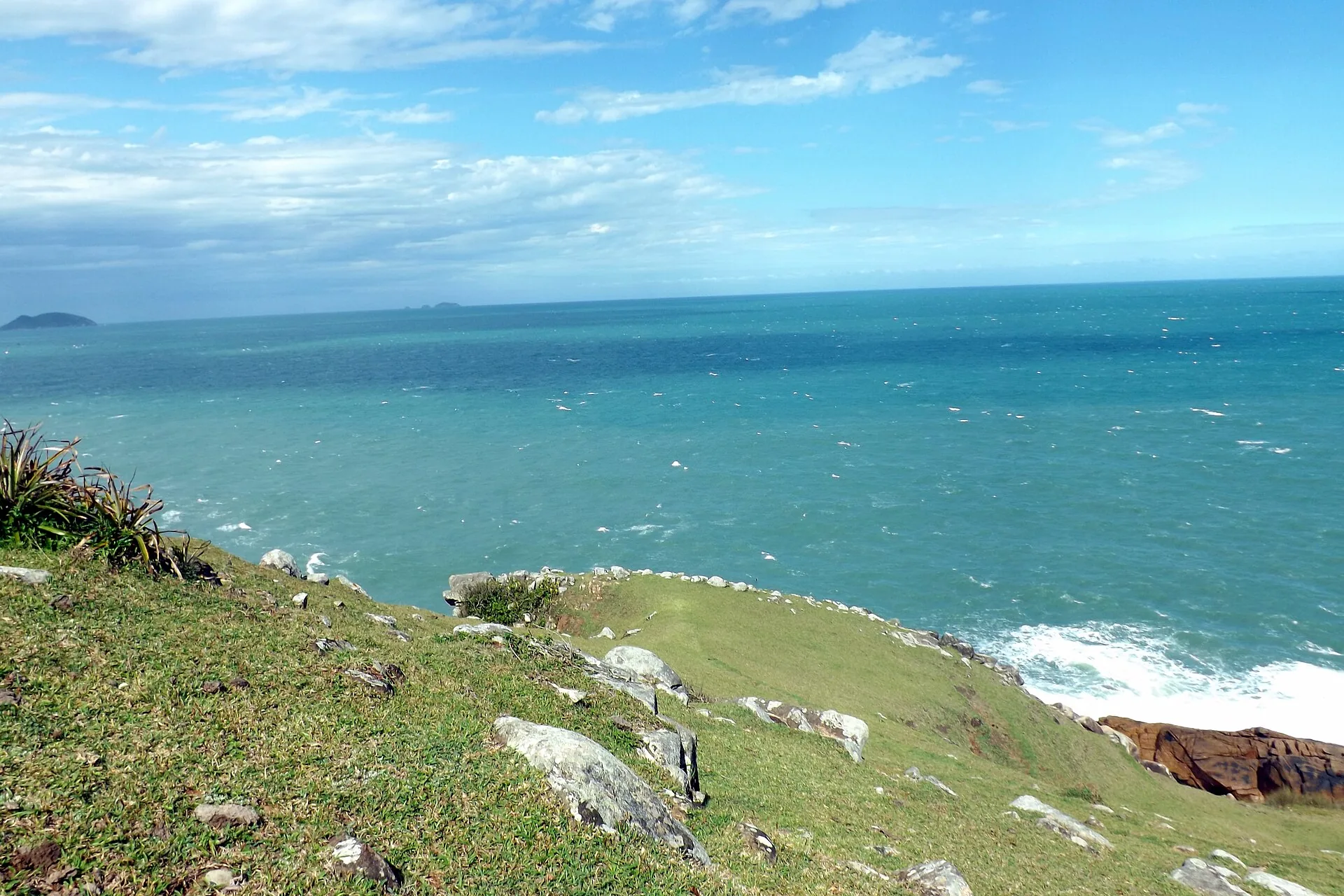 Encosta gramada no alto de um costão catarinense, com mar aberto e ondas ao fundo